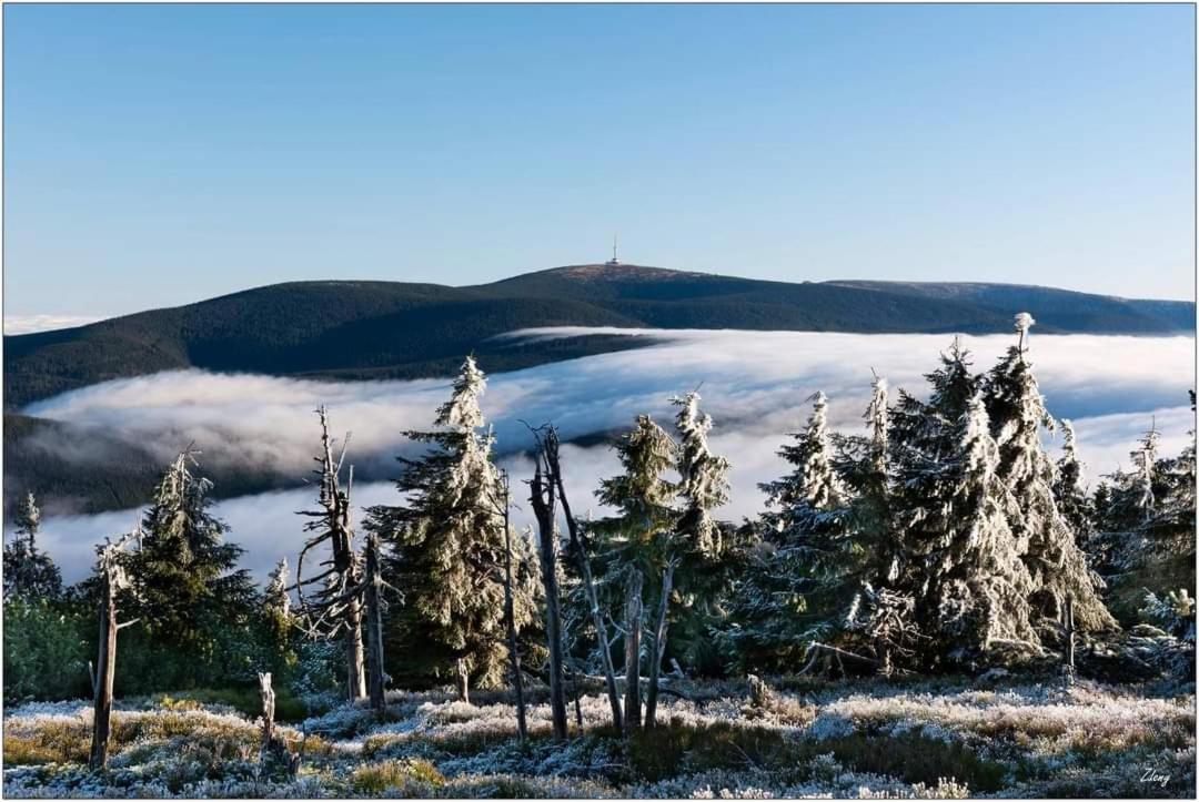 Apartmany Modus 2 Česká Ves Exterior foto